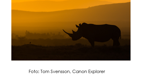 Canon ger 5+1 fototips för bättre bilder och filmer från dina resor
