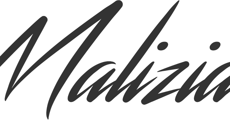 Logo Team Malizia