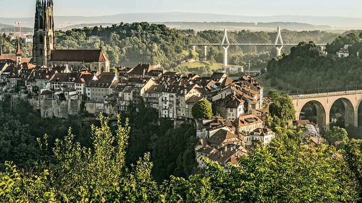 Kathedrale mit Altstadt, Fribourg