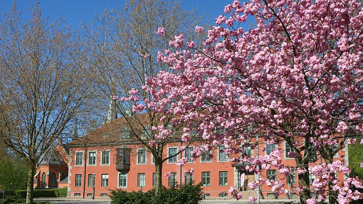 Kulturskolans undervisning på Rådhuset ställs in tillsvidare