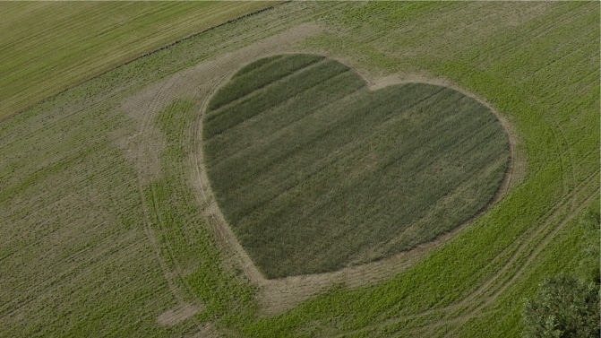 Avec son cœur de blé Harmony, LU témoigne de son engagement fort pour une agriculture durable et locale