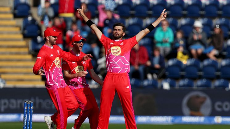 Shaheen Afridi celebrates with Welsh Fire last season. Photo: Getty Images