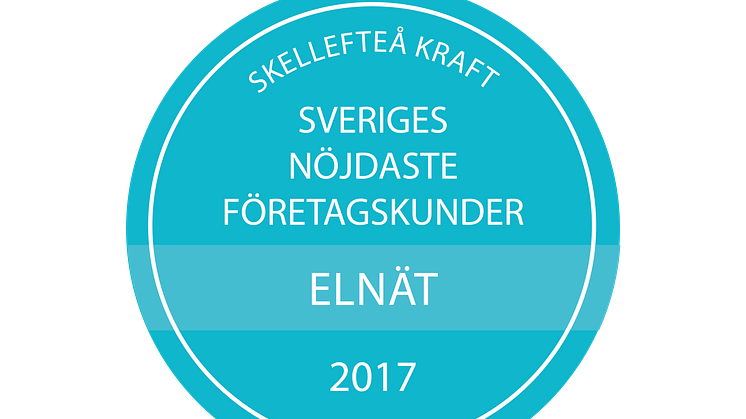 Medaljer SKI Elnät B2B 2017