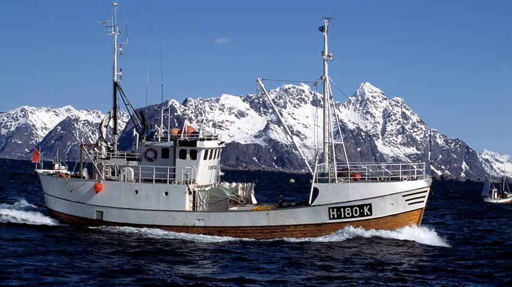 Fiskebåt Lofoten
