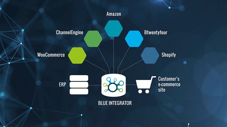 Blue Integrator – bringing together your digital marketplace