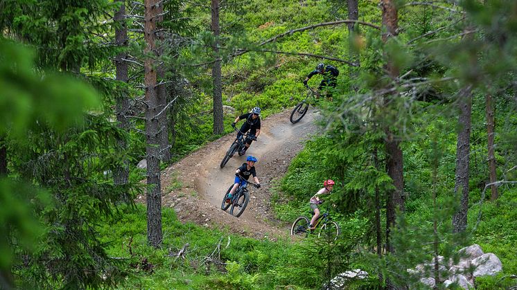 Sykkelstiene i Gullia er familiens favoritt, og 26. mai ruller det i gang i sykkelanlegget i Trysil. Foto: Jonas Sjögren/Destinasjon Trysil