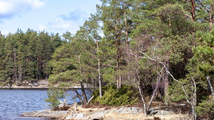 Generellt råder strandskydd vid havet, vattensamlingar, sjöar och vattendrag. Skyddet handlar både om att allmänheten ska kunna vistas vid vatten och att djur- och växtlivet ska bevaras. Bilden är inte från årets tillsyn.