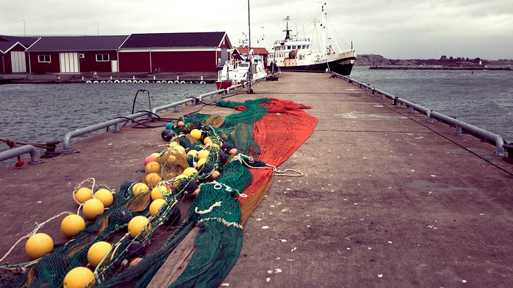 Nya regler förenklar för svenska yrkesfiskare