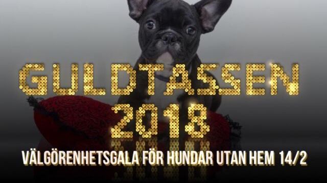 Välkommen på välgörenhetsgala till förmån för hemlösa hundar den 14 februari!