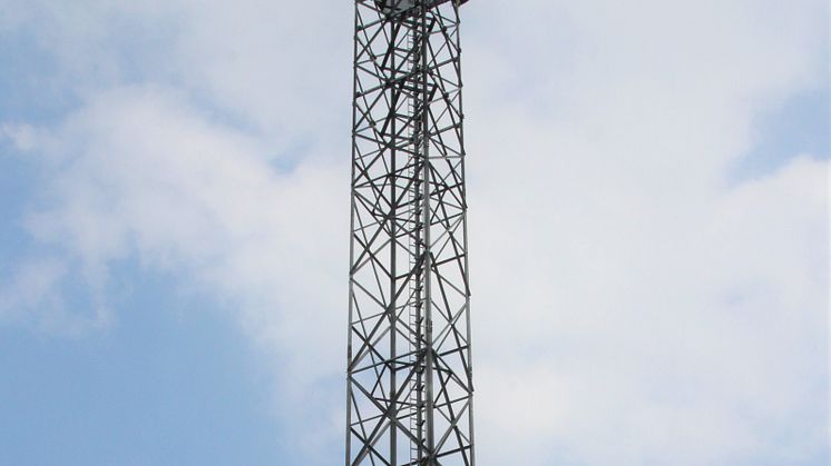 Wächst 40 Meter in den Himmel über Bad Driburg