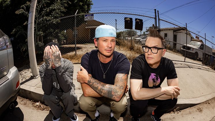 blink-182 pressbild