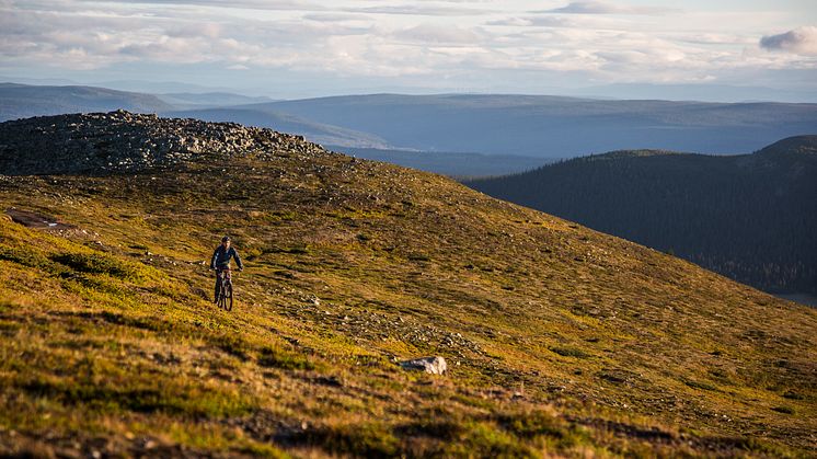 Lofsdalen Fjällpark MTB blir nya namnet på Lofsdalens miljonsatsning på cykling