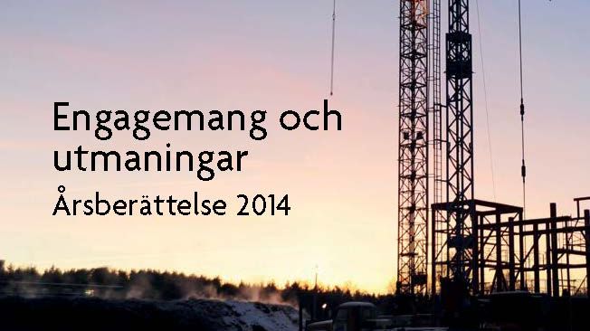 Engagemang och utmaningar - årsberättelse 2014