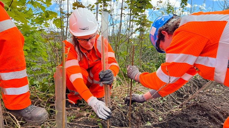 Great Malvern station: from fresh canopies, to fresh hedgerows