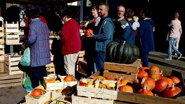 Bunte Produktvielfalt beim Bauernmarkt vom 5.-7. Oktober in der Kieler Innenstadt