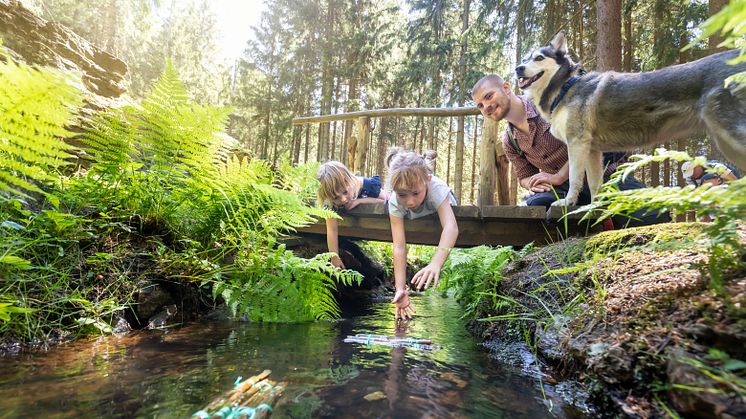 Wandern im Erzgebirge (Foto: TV Erzgebirge e.V. / Uwe Meinhold)