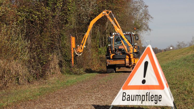 Auch in diesem Jahr führt LEW Wasserkraft wieder Baumpflegearbeiten entlang der Flüsse durch. Dieses Foto entstand während der Arbeiten bei Inningen an der Wertach. (LEW/Michael Hochgemuth)