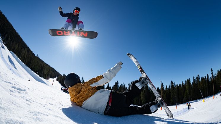 artikelbild snowboard