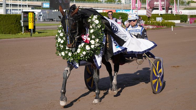 Eric the Eel överraskade inför storpubliken 16.131. Foto: Solvalla