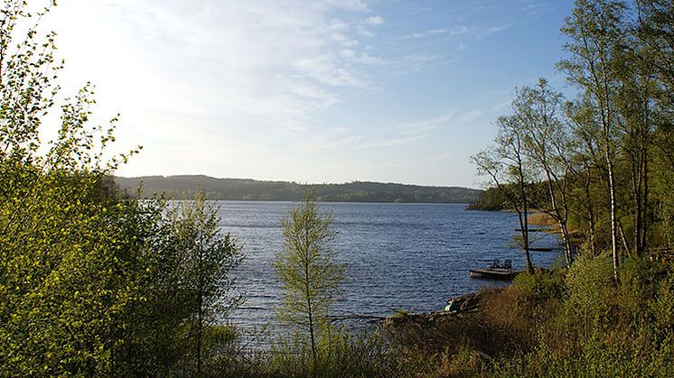 Västra Nedsjön. Foto: Jan Ainali.