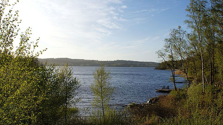 Västra_Nedsjön_2-770x420px.jpg