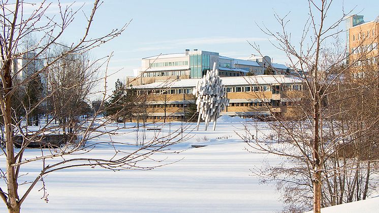 Umeå universitet har mottagit en stor donation för att kunna fortsätta bedriva viktig forskning inom ALS. 