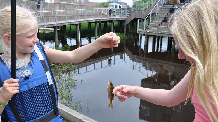 Nya projekt ska få fler att fiska och vandra i Vattenriket