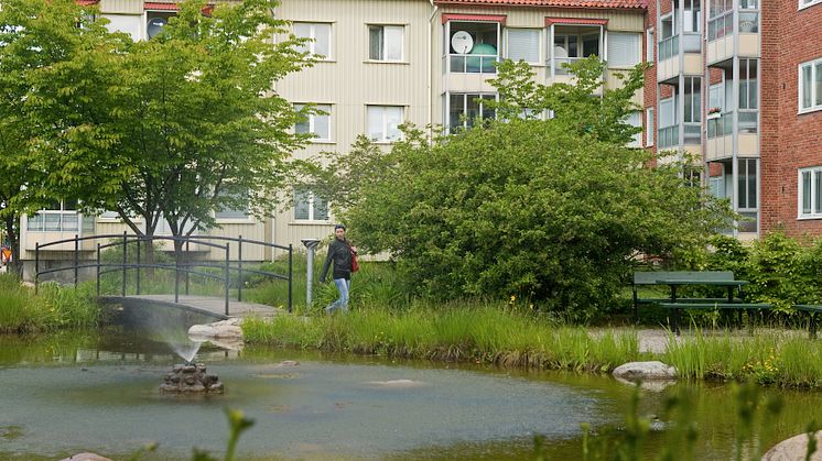 Internationellt pris för Ekostaden Augustenborg