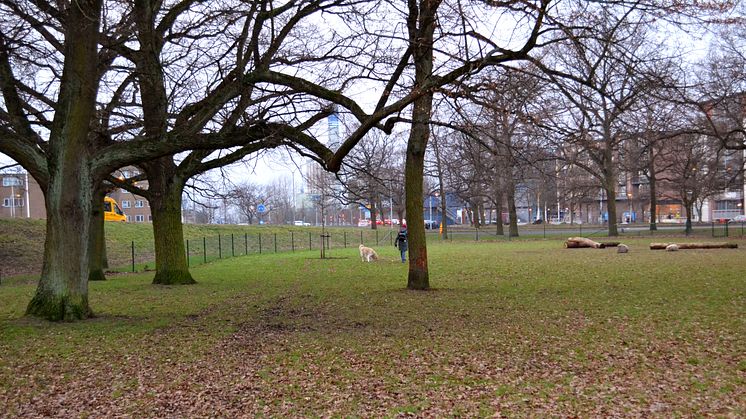 Vi inviger hundhägnet i Sturzen-Beckers park