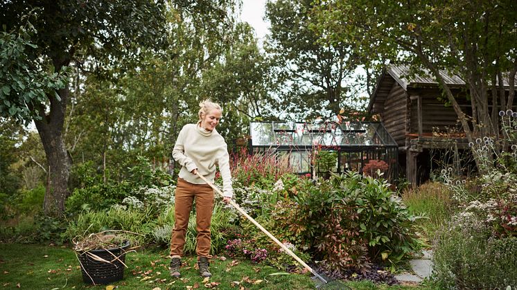 Plantasjens gartner gir råd om sensommeraktivitet i hagen