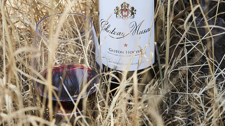 Senaste årgången av Chateau Musar - 2015