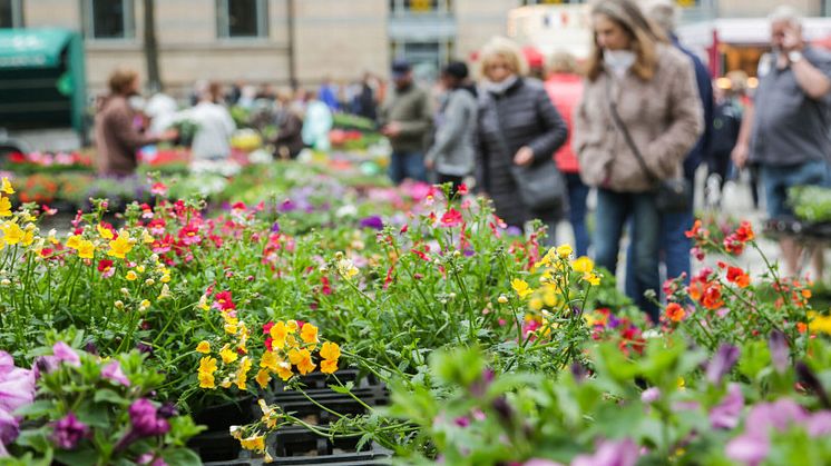 Mit Blumen, Kunst und Sport kehrt der Frühling zurück in die Kieler Innenstadt. (c) Nicole Riederer, Kiel-Marketing 