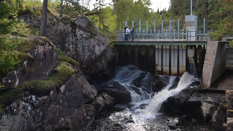 Värdefull småskalig vattenkraft för Skånska Energi