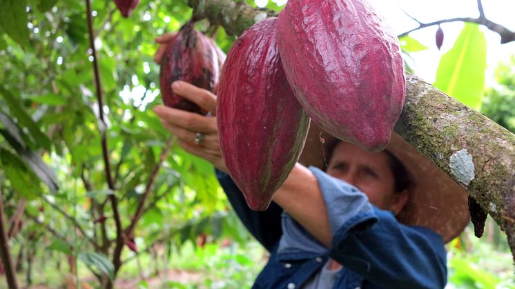 Elizabeth Agudelo – Forskande och passionerad kakaobonde från Colombia