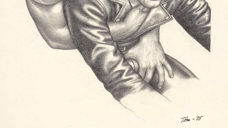 Tom of Finland (1920-1991) Untitled (Panel 6 from Sex in the Shed).jpg