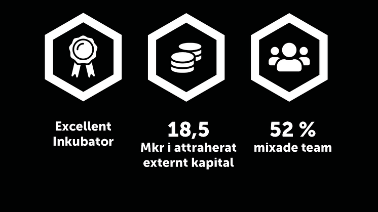 Excellent inkubator på Dalarna Science Park och 18,5 miljoner i attraherat kapital för inkubatorbolag under 2020.