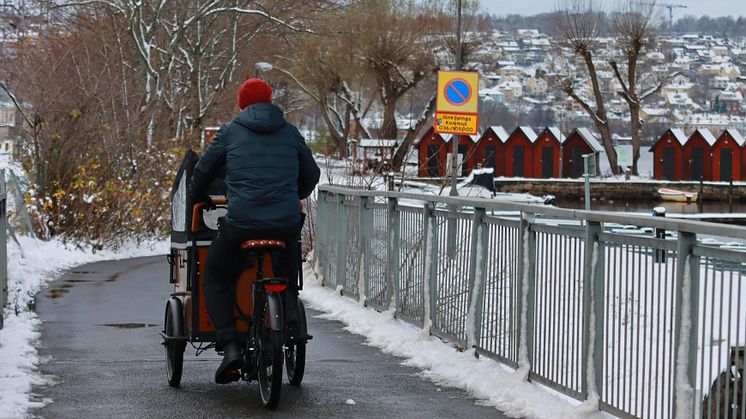Ladcykler: Den moderne families cykel