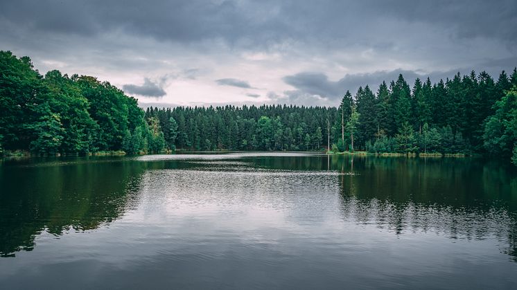 Foto: Istock