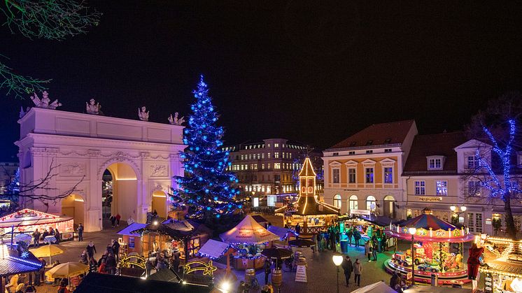 Blauer Lichterglanz in Potsdam