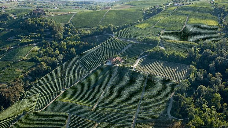 Nytt pris från 1 juni! Borgogno Langhe Nebbiolo 199 kronor