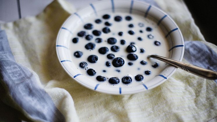 Blåbärets smakkompisar