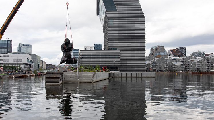 Moren heises over til enga på Inger Munchs brygge