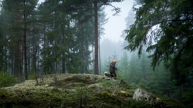 Mats Hedblom ny styrelseledamot i Jaktia AB