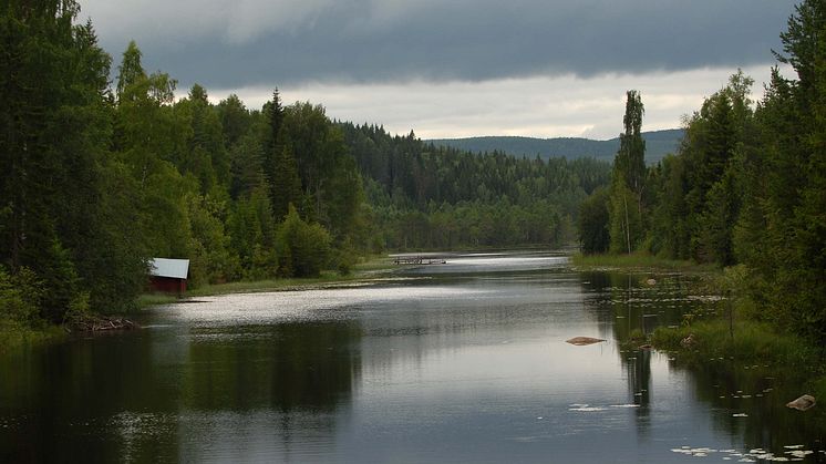 Marnäsån Långsjön