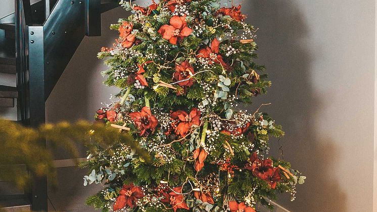 PYNT MED BLOMSTER: Dette nydelige juletreet er pyntet med blant annet amaryllis, eukalyptus og brudeslør. Foto: Belinda Jakobsen