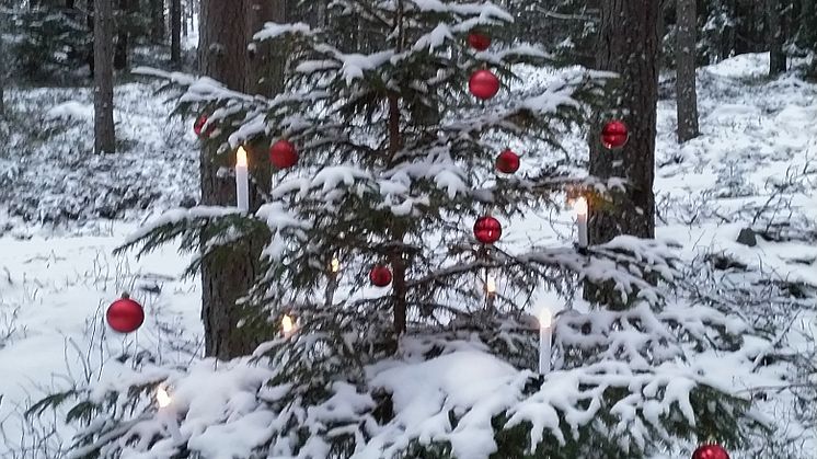 Regionarkivets nyhetsbrev december 2019