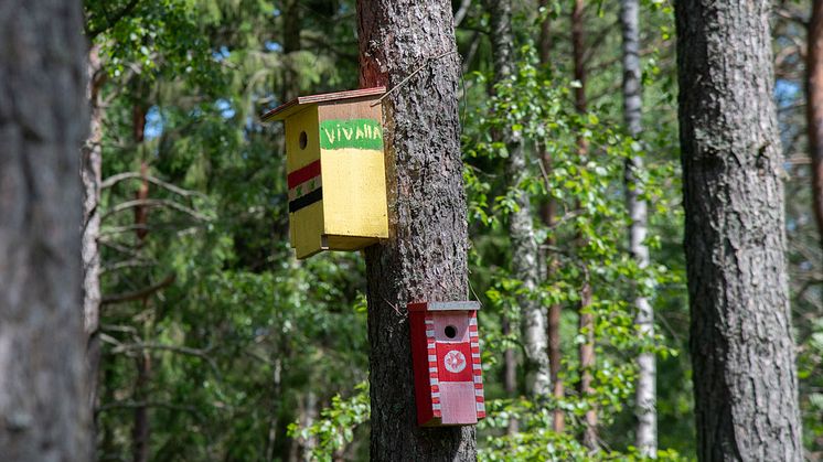 Fågelholkar i Öknaskogen. Bild Örebro kommun.