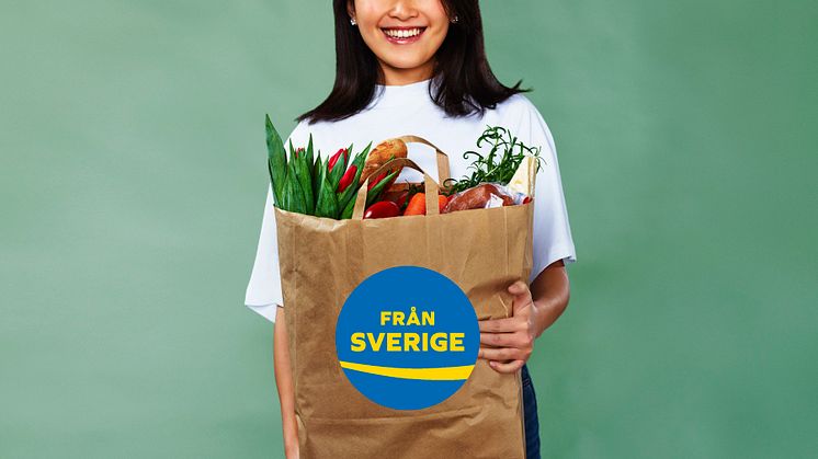 Matkasse Från Sverige & Ina