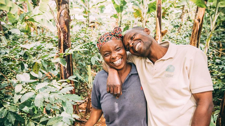 ​Löfbergs och International Coffee Partners förbättrade utvecklingsmöjligheterna för 49 000 småskaliga kaffebönder