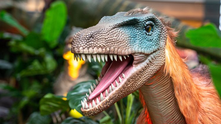 Dinosaurerne er løs i Plantorama i Vejle